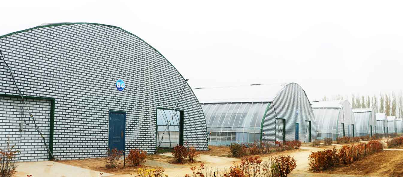 2、四季温室网页_11.jpg