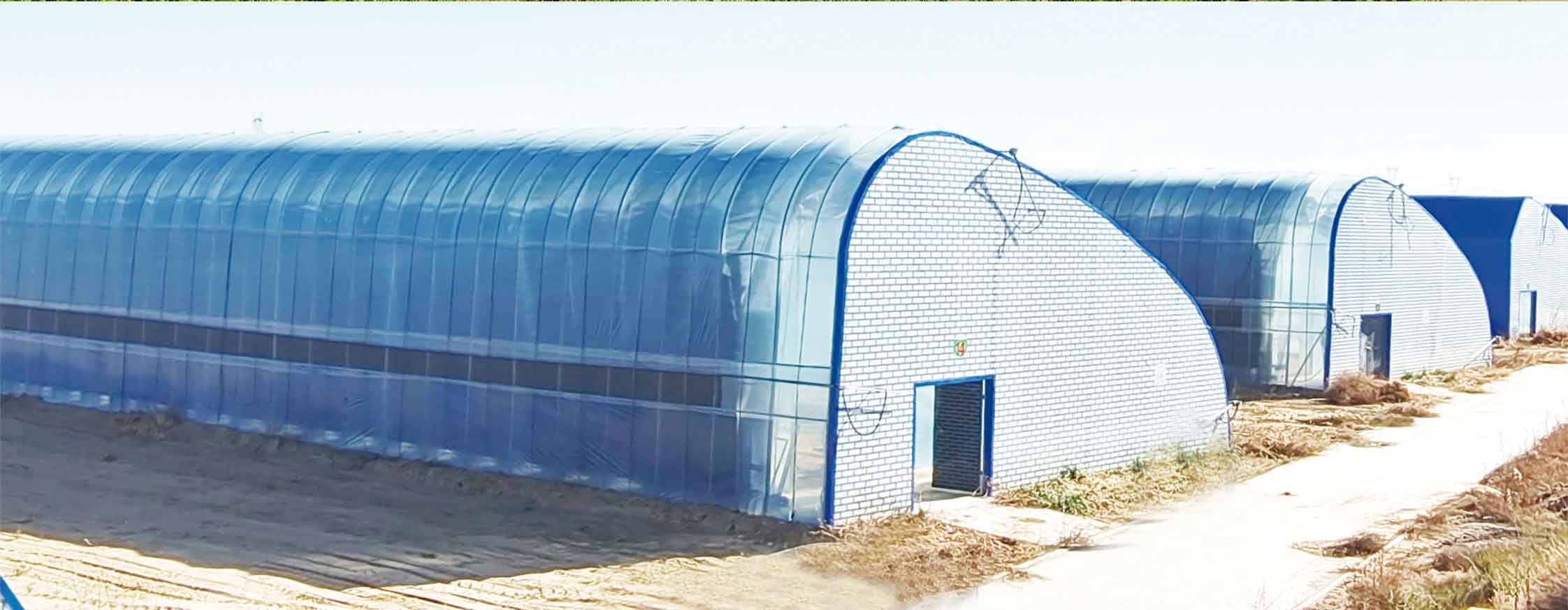 2、冬室夏棚网页_10.jpg